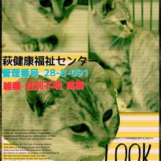 11月24日期限！お迎えに来てください！