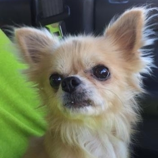 大夢（ひろむ）君です♪