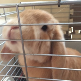 アリスです(^ ^)