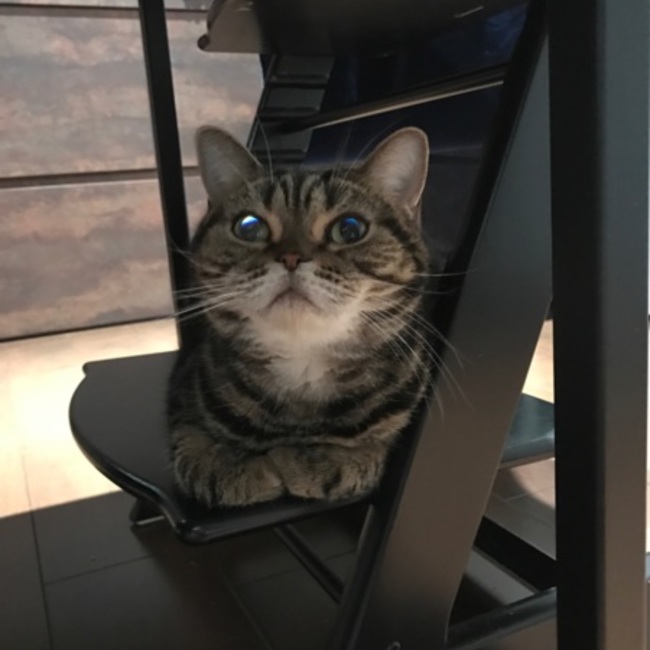 emmanyanのカバー写真