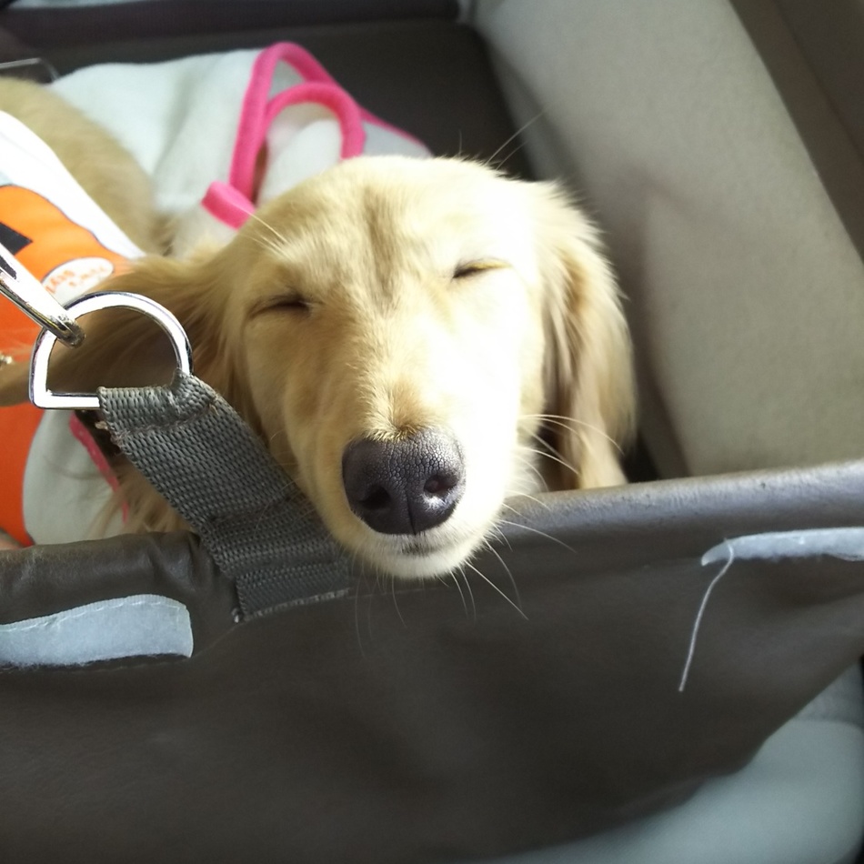 乃愛のカバー写真