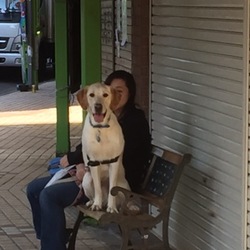 わんこのすごいトコ