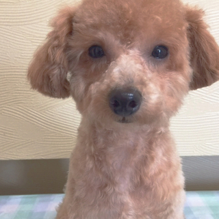 沢山の方お申し出ありがとうございました。