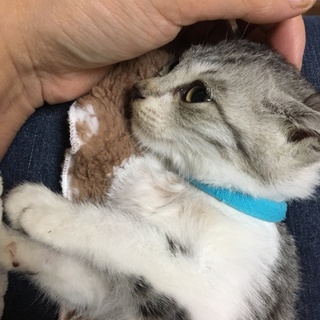 恐がり君ですが…