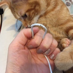 充電できな〜い(＞人＜;)
