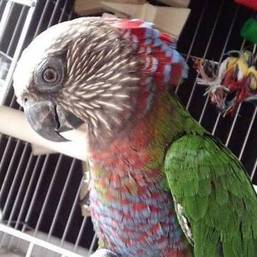 お迎えして2日目