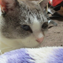 「おはようございます！」サムネイル2