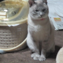 「おはようございます！」サムネイル3