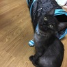 の写真