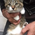 おかげさまで、里親さまが決まりました