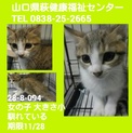 センターに姉妹揃ってお迎え頂きました‼
