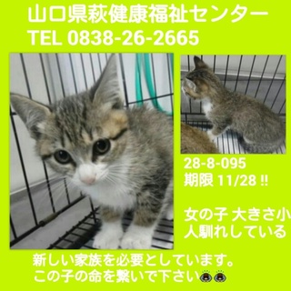 センターに姉妹揃ってお迎え頂きました‼