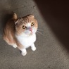 の写真