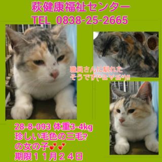 センターにお迎えにきていただきました！