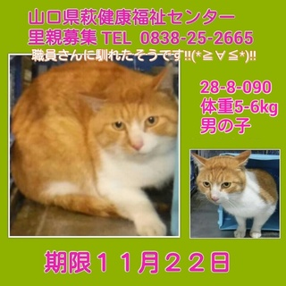 家族が決まりました‼ ありがとうございました‼