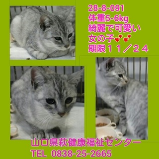 センターにお迎えにきていただきました！