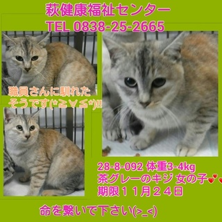 センターにお迎えにきていただきました！