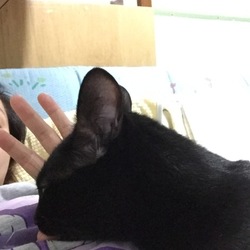 「ママが好き。」サムネイル1