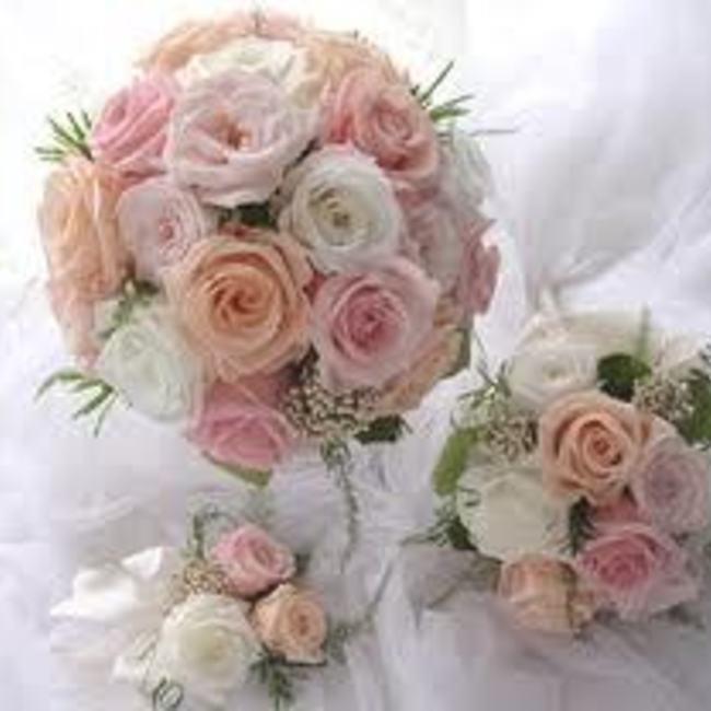 ニャアのカバー写真