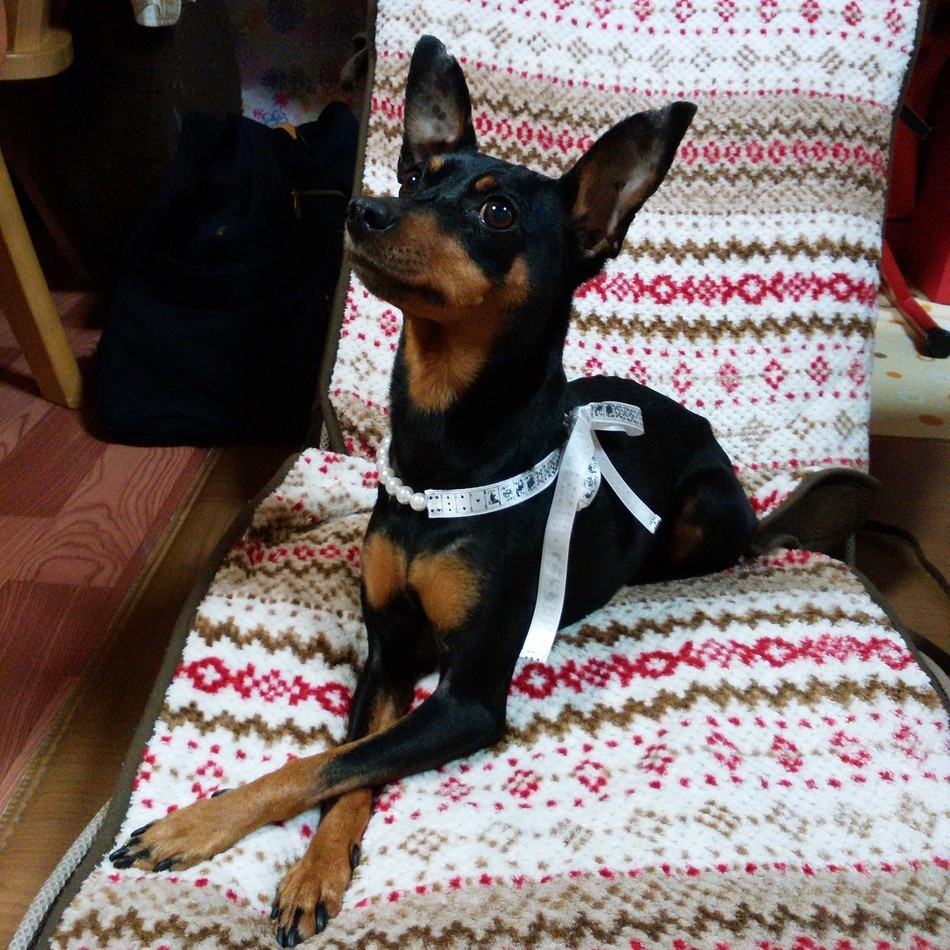 木田マロンのカバー写真