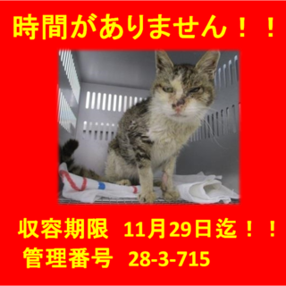 譲渡されました。