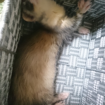 たまらないフィット感