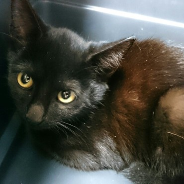 保護した日の写真