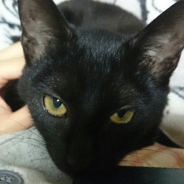 お別れまであと１ヶ月。幸せになってほしい