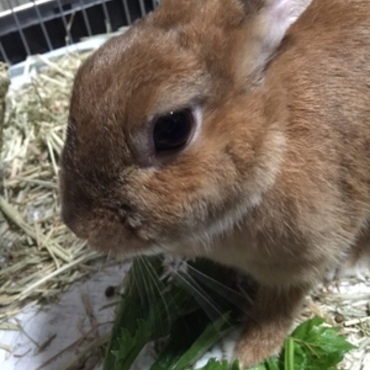 ちょっと大人しめのショット