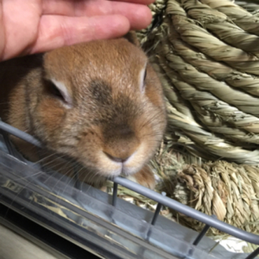 ナデナデ気持ち良い～