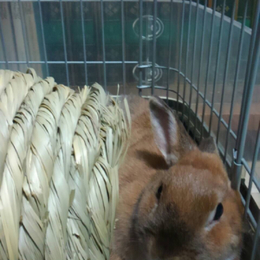 やっぱりすみっこがいいよね～