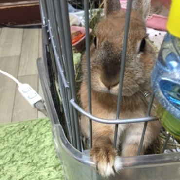 夏はお水よく飲みます