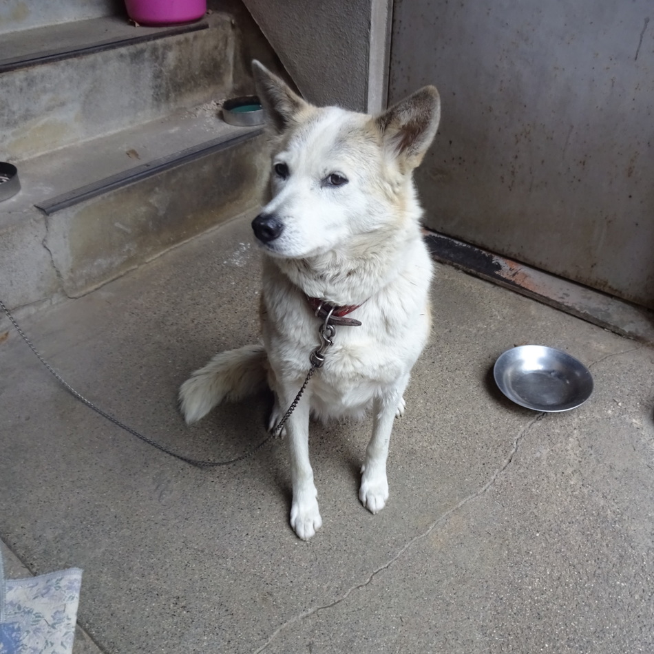 ふくのカバー写真