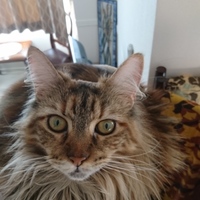 ジェシカ