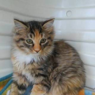 生後3カ月半くらい