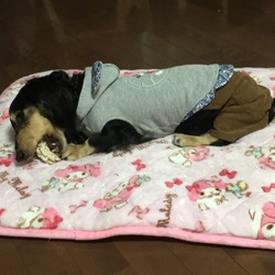 リド珍しく…(*´ｰ`*人)