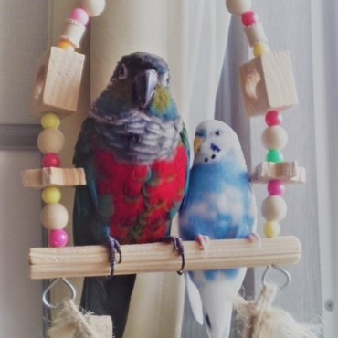 仲良しこよし☆