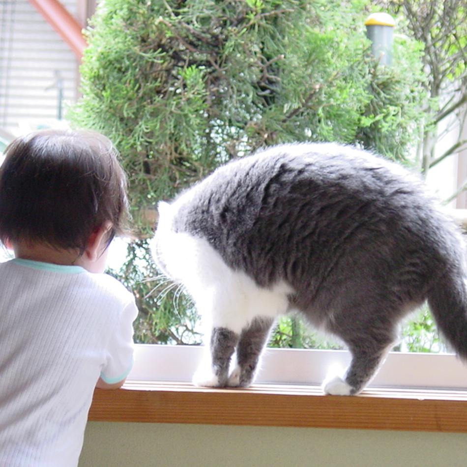 ちかのカバー写真