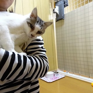 肩にのってくる凄い甘えん坊さんです！