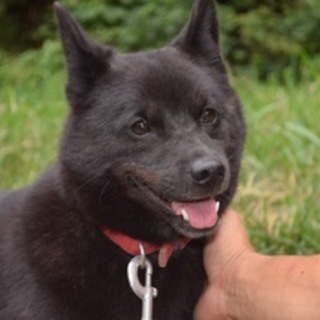 シャイなところも可愛い⭐️ソラちゃん