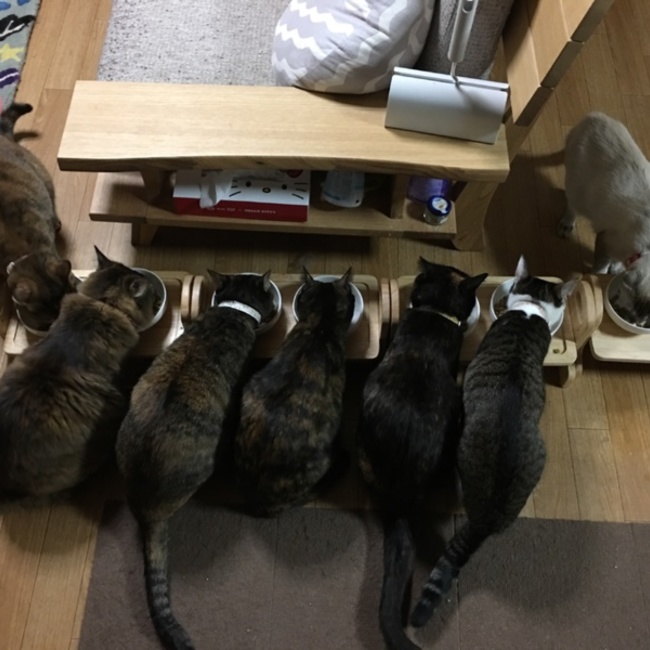 いほっちいちみのカバー写真