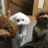 きんもち