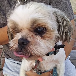 寂しくても頑張って生きてます。