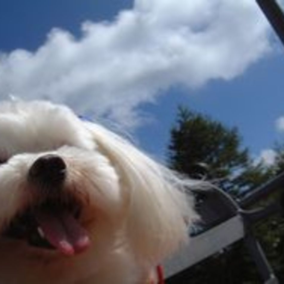 みんとのカバー写真