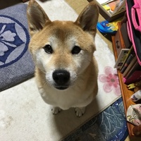 かんぺい