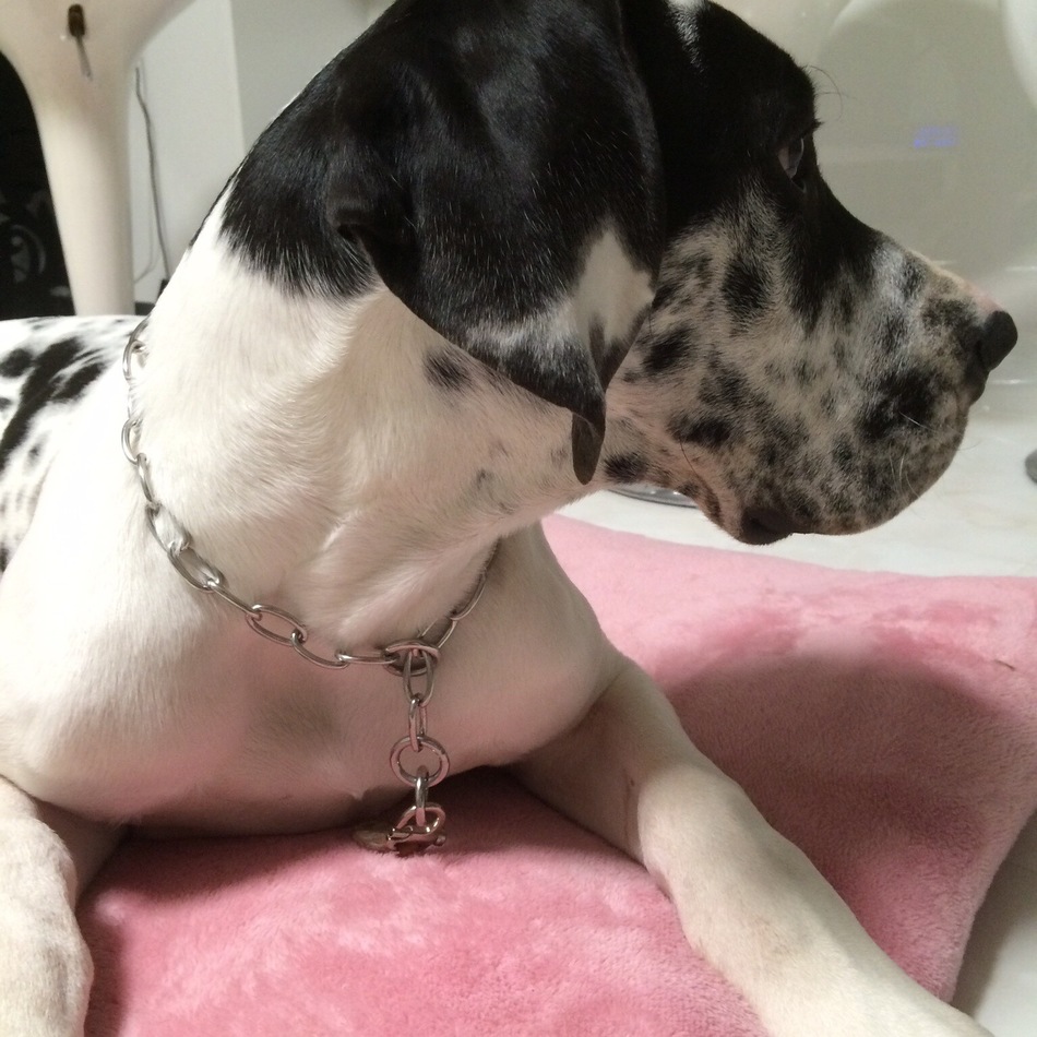 ハルクのカバー写真