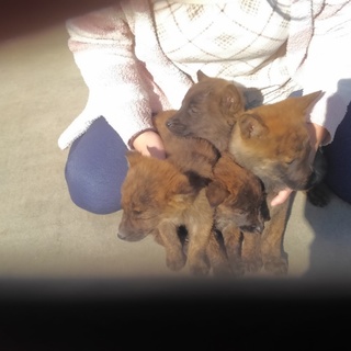 2016年9月19日に生まれました。