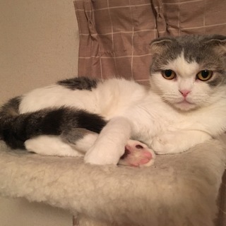 大切に育てて頂ける方へ