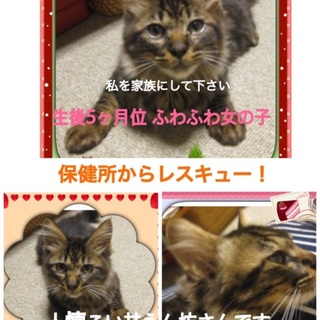 本当の家族になってください☆