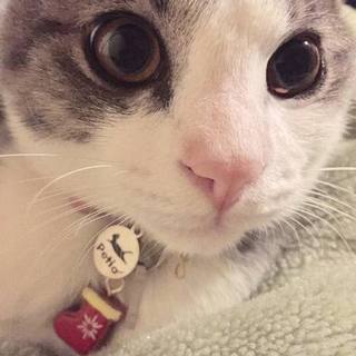 震災前後に生まれました。一人ぼっちでした